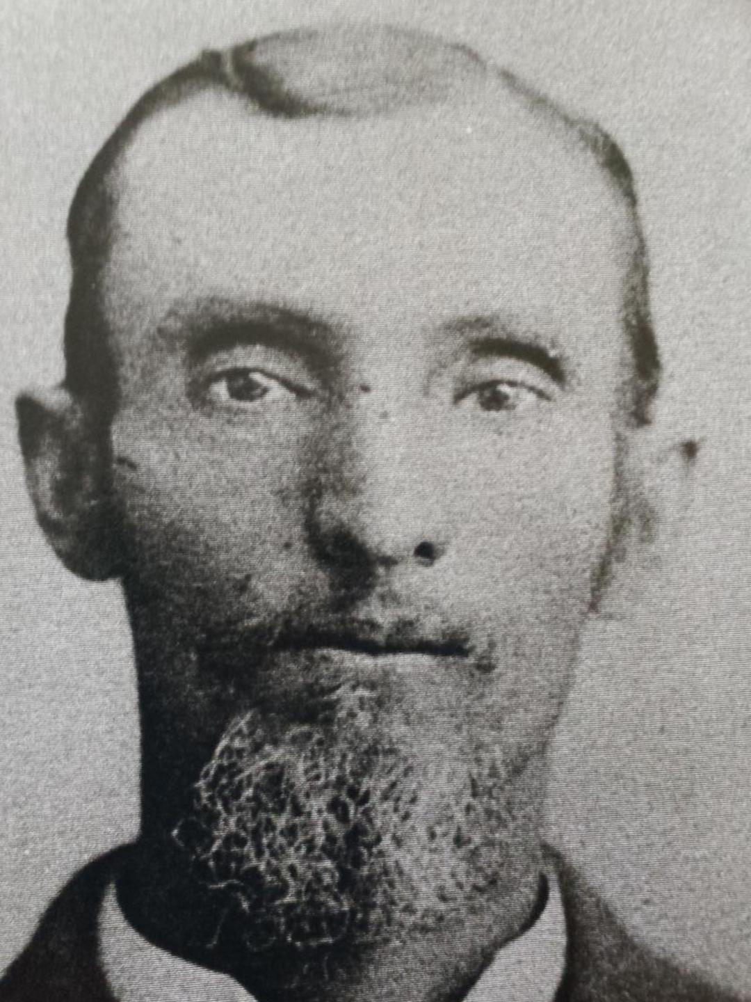 Alvin Franklin Stewart (1819 - 1905) Profile